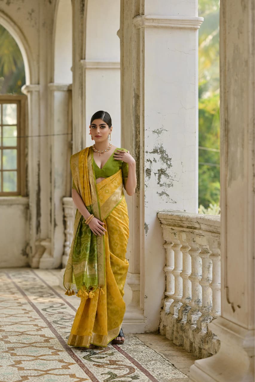 Soft Desi Raw Silk saree with pochampali ikkat concept Weaving saree