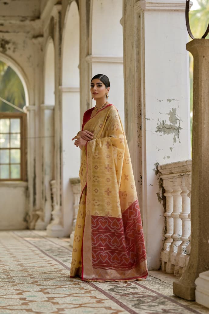 Soft Desi Raw Silk saree with pochampali ikkat concept Weaving saree