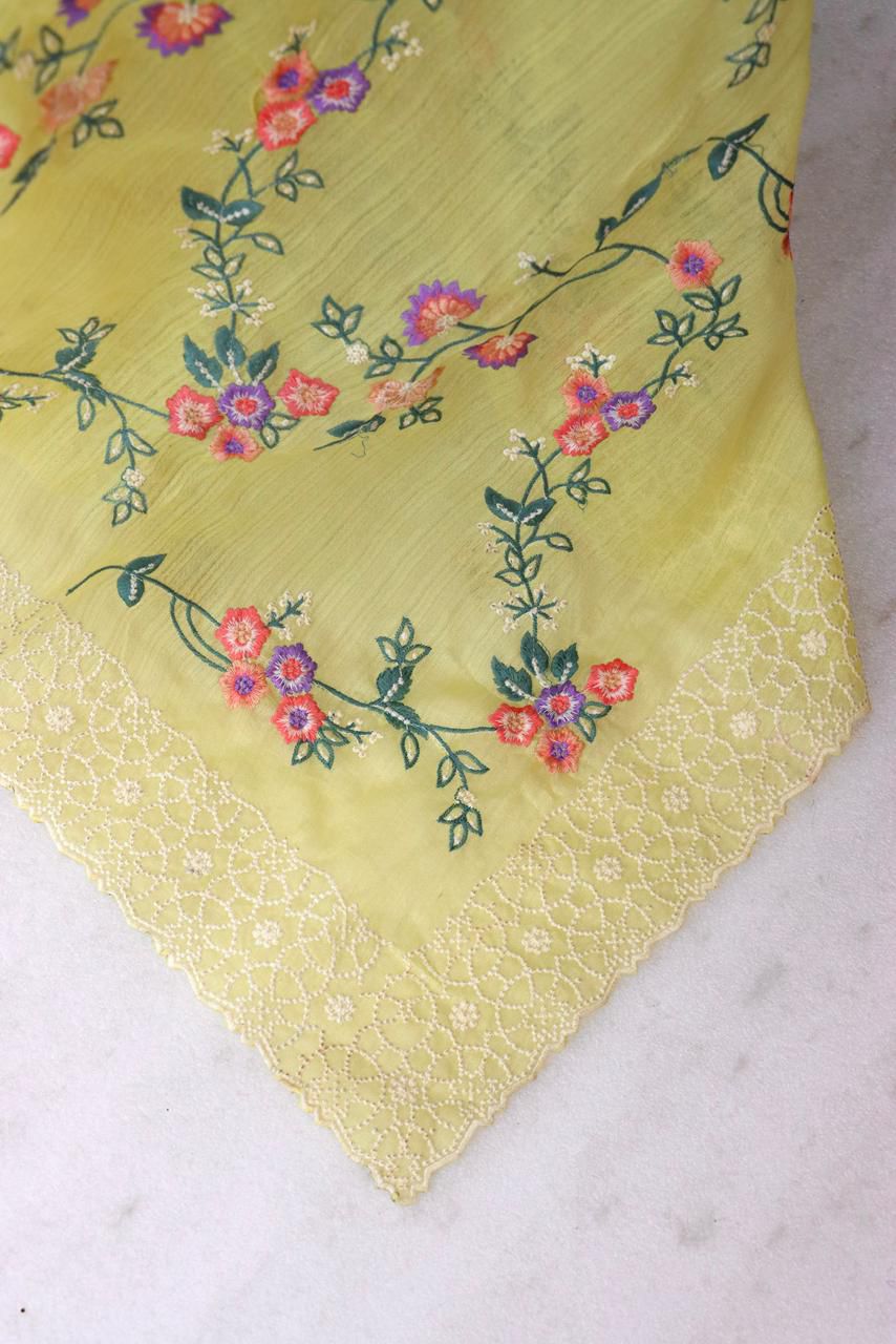Pastel Organza Saree with Floral Embroidery and Chikankari-Style Lace Borders